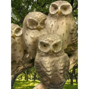 Enesco Hand-Painted Cream Owl Sculpture Set -